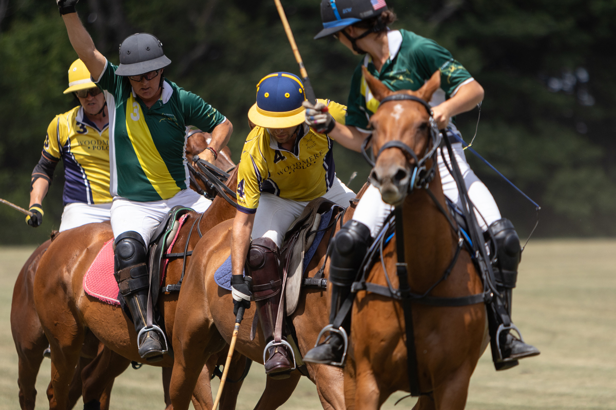 Polo-30-1