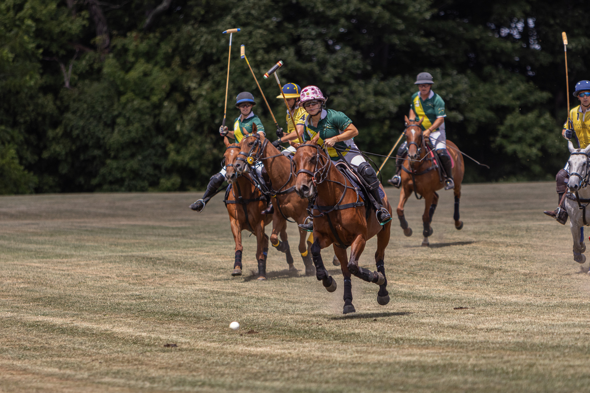 Polo-31-1