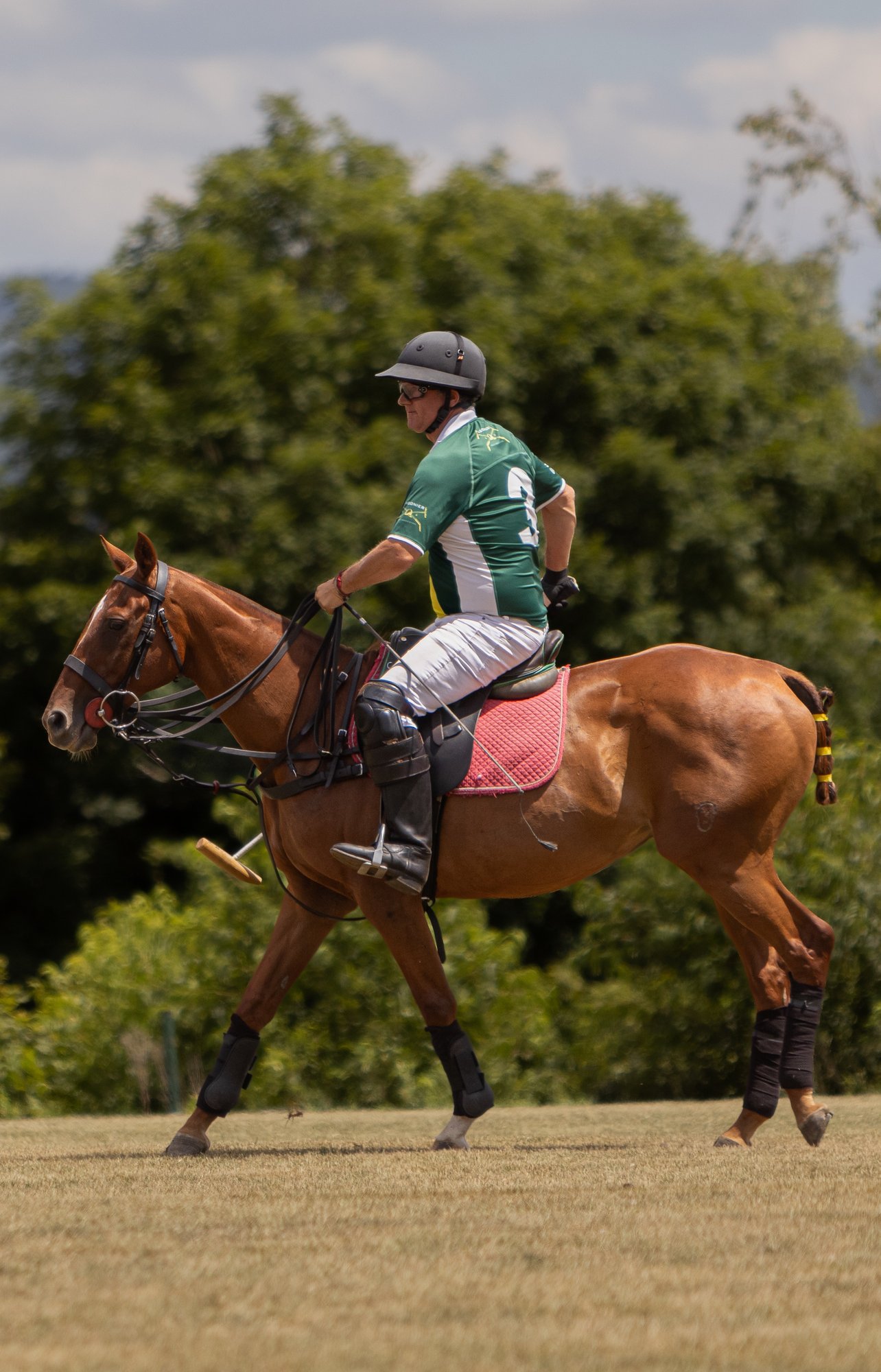 Polo-44